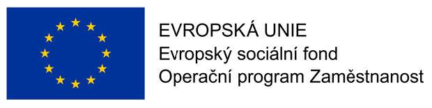 PŘÍLOHA č.