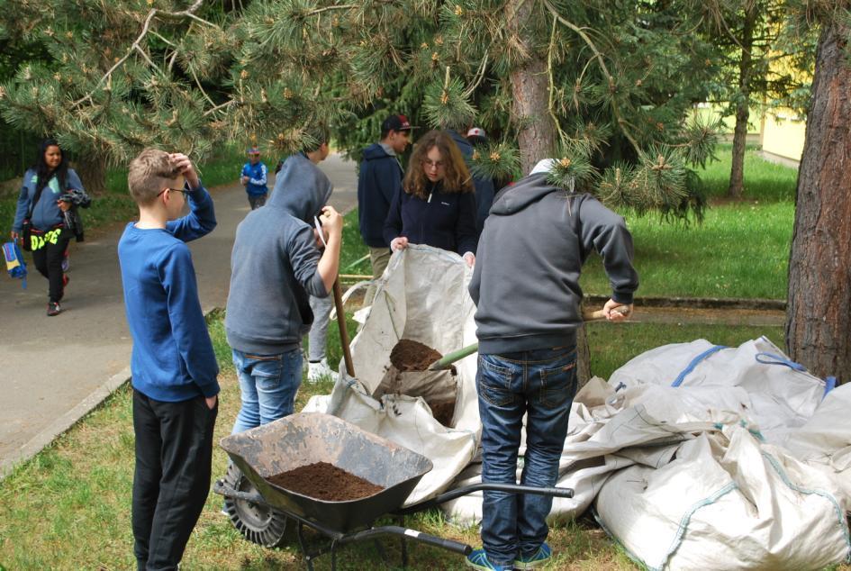3. Úprava vyvýšených záhonů: Zeminu potřebnou do záhonů dostala