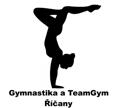 Ze sportu Závěr gymnastické sezóny v TJ Tourist Máme za sebou náročné měsíce před zaslouženým letním odpočinkem.