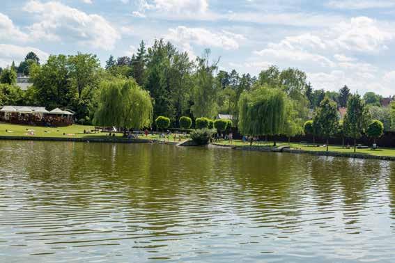 Říčansko - oblast kde se snoubí krása přírody se snadnou dostupnosti z metropole.