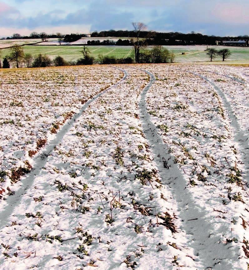 agrotip Informační měsíčník BASF pro