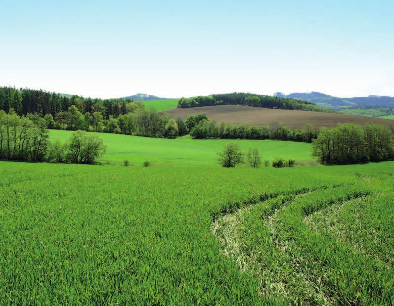 Aplikaci kombinovaných herbicidů typu růstový herbicid + sulfonylmočovina je možné provést při teplotách od 5 (8) C, nicméně vyšší účinnost vykazují tyto herbicidy až při teplotách přes 10 C a