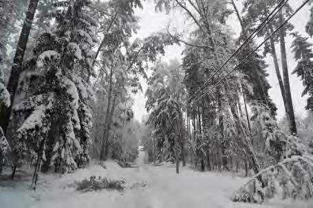 2011: v Dobrušce nevyjeli