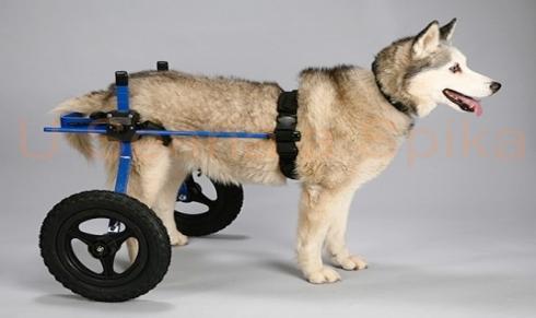 3. Srovnání systému péče o handicapované v ČR a jiných zemí Autoři: Mgr. Daniela Kadlecová, V. Kraftová, B. Wodere, N. Žižková, 2. S Pojem handicap neboli postižení můžeme definovat mnoha způsoby.