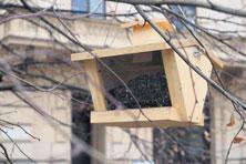 Informace z radnice KRMÍTKA PRO PTÁKY Do parků, jejichž správu zabezpečuje městská část Brno-střed, instaluje každý rok v zimní sezoně Odbor životního prostředí krmítka pro ptáky.