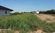 terasa s bazénem, pozemek o ploše 1.500 m 2. UH00055 Uherský Ostroh, okres UH RD v Uh.