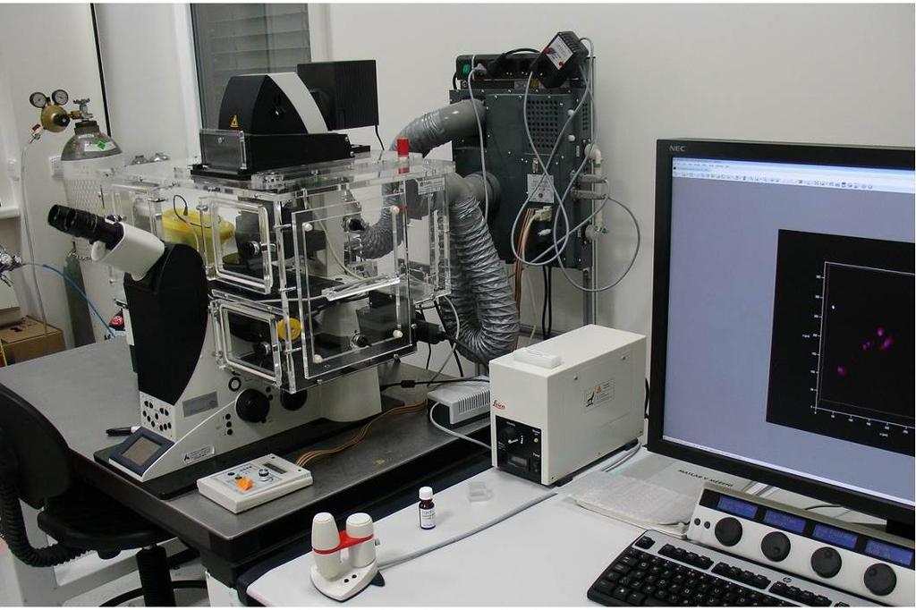 Main Interests The department provides instruction in processing of signals and images, biomedical and ecological engineering, environmental studies, biomedical technology and bioinformatics in