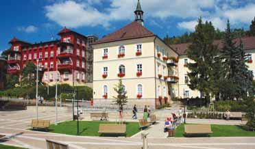 Ostrava Lázeňský hotel Terra *** superior Poloha: lázeňský hotel Terra leží v samotném centru lázní, jedná se o jeden z objektů Státních léčebných lázní Janské Lázně.