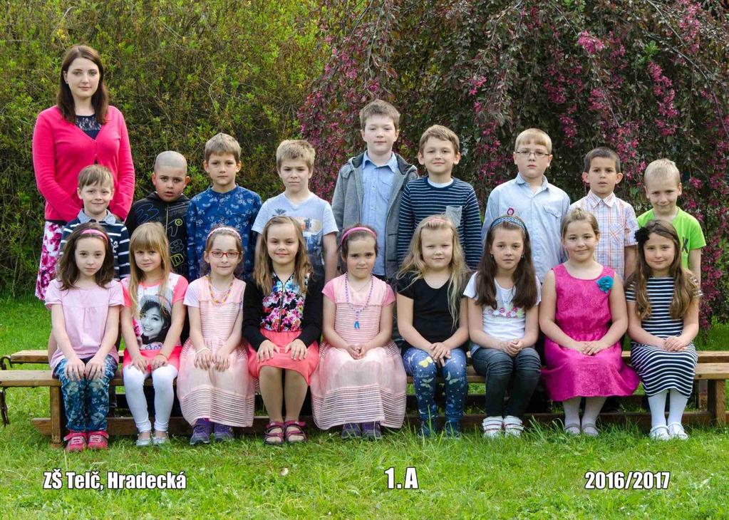 Výroční zpráva o činnosti