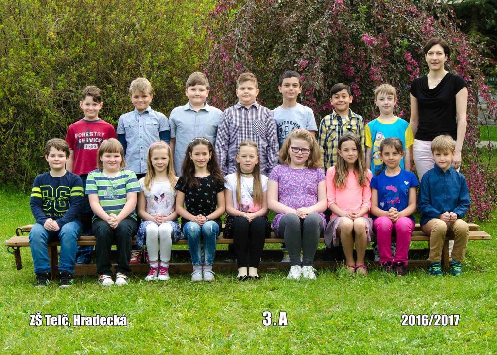 Výroční zpráva o činnosti školy