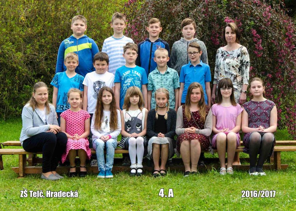 Výroční zpráva o činnosti