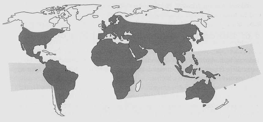 Výskyt jedovatých hadů ve světě Mapa výskytu jedovatých hadů ve světě (Valenta 2008, volně podle Kornalík 1967) Neobývají: Irsko, Island, Grónsko, Kanárské o.