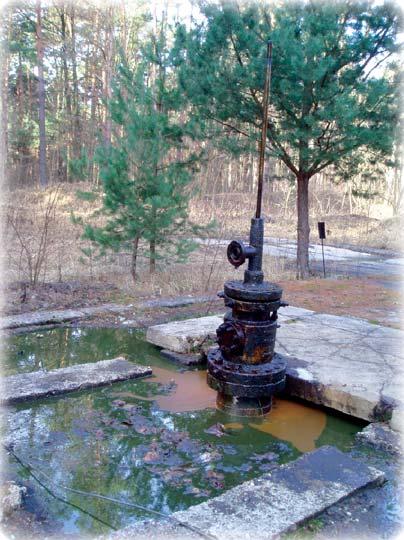 Kto je príslušným orgánom Štátnu správu v oblasti environmentálnej škody vykonáva Ministerstvo životného prostredia SR ako ústredný orgán štátnej správy, krajské úrady životného prostredia ako