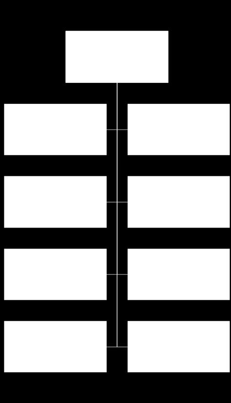 11.