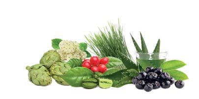 MQUI RRY z ovocia maqui berry Ovocie maqui berry obsahuje: a r LO 99,8% 99,8% z aloe, regulátor kyslosti - kyselina citrónová loe obsahuje: a r N a 9 2 500 ml 4-6 Zrýchľuje metabolizmus.