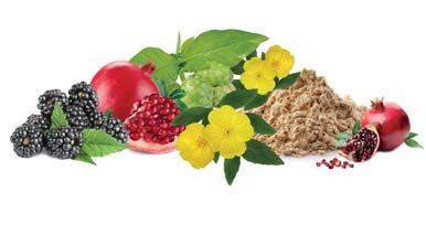 MNOUZ GRNÁTOVÉ JLO z granátového jablka Ovocie granátového jablka obsahuje: 500 ml 4-6 Je vynikajúci antioxidant. ozitívne pôsobí na kŕčové žily a hemoroidy.