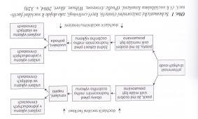 Aronson a kol. (2004) mechanismy vzniku soc.