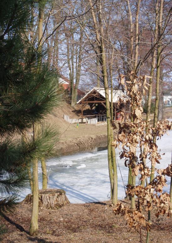 - 7 pátek 23.12.2016 - v 18.30 šipkový turnaj dospělých jen pro občany Popovic. prezence od 18,00 v hospodě., čekací doba není. Startovné 60,- Kč.