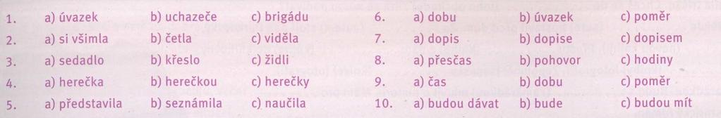 4. Slovní zásoba Co znamenají tyto výrazy?