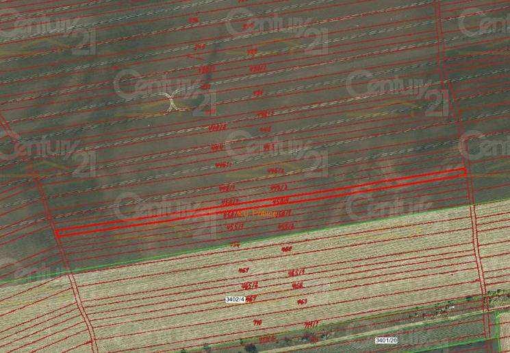 Břeclav - orná půda Plocha pozemku: 592 m 2 Cena nabídková: 25,- Kč/m 2 Zdroj: Realitní kancelář OLYMP Jungmannova