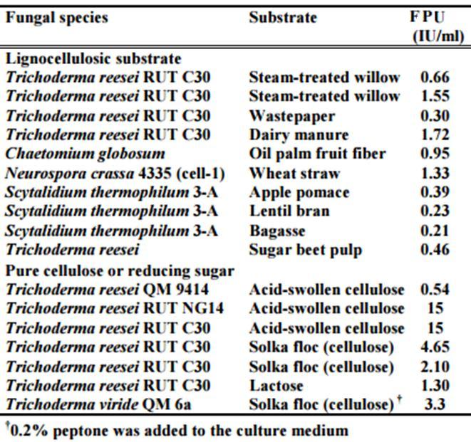 Trichoderma reesei - roste na levném ligninocelulosovém odpadů (Accellerase 1000) substrát např. cukrovková drť, sběrový papír, vrbové dřevo ošetřené parou; batch fermentace, teplota 30 C, ph 4.