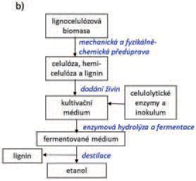 Metody produkce: SSF (Simultánní sacharifikace a fermentace) enzymová hydrolýza probíhá současně s procesem fermentace - kratší dobu v jednom bioreaktoru