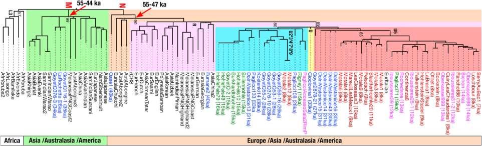 mtdna: after