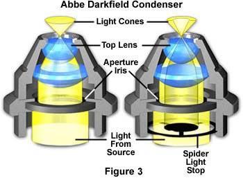 Zobrazovací metody ve světelné mikroskopii