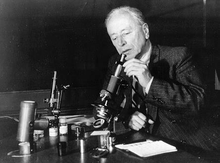 Fázový kontrast (Fritz Zernike) Fritz Zernike (1888-1966) sestrojil první fázový mikroskop