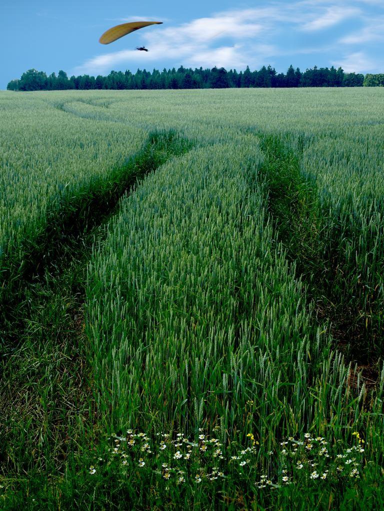 Horizont Je to rozhranní oblohy a země. Stačí, když vystoupíme výš nebo níž, horizont se posune a my nabídneme divákovi zcela rozdílné snímky.