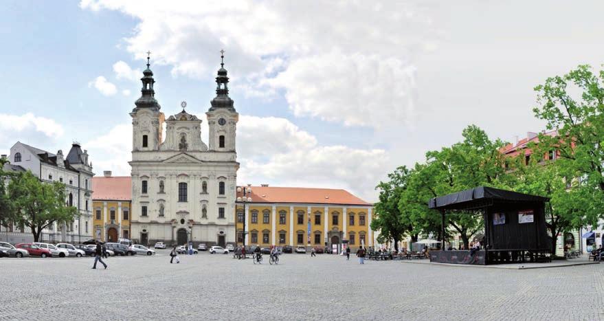 ) Studijní program: Procesní inženýrství (6 semestrů) Studijní obor: Ovládání rizik Studijní obor: Ovládání rizik profil: Řízení výrobních a logistických systémů Studijní program: Ochrana