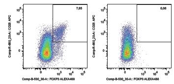 Stanovení T regs analýza CD4+ lymfocyty CD4+ lymfocyty CD25 FoxP3 Alexa 488 Izotyp Alexa 488 1.