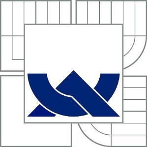 VYSOKÉ UČENÍ TECHNICKÉ V BRNĚ BRNO UNIVERSITY OF TECHNOLOGY FAKULTA CHEMICKÁ CENTRUM MATERIÁLOVÉHO