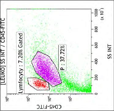 CD45+