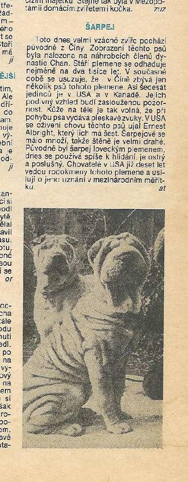 Pes přítel člověka 12/77 Úplnou náhodou se mi dostal do ruky časopis Pes přítel člověka č.12 z roku 1977.