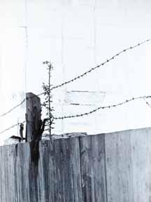 64. Ludvík Souček (1926 1978) Ostnaté dráty fotografie, 39,7 x 29,6 cm, na zadní straně značeno