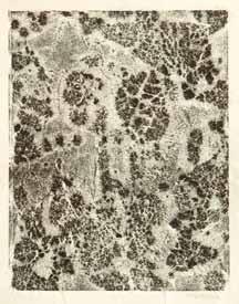 Radoslav Kratina (1928 1999) Monotyp (diptych) 2x monotyp, 60.