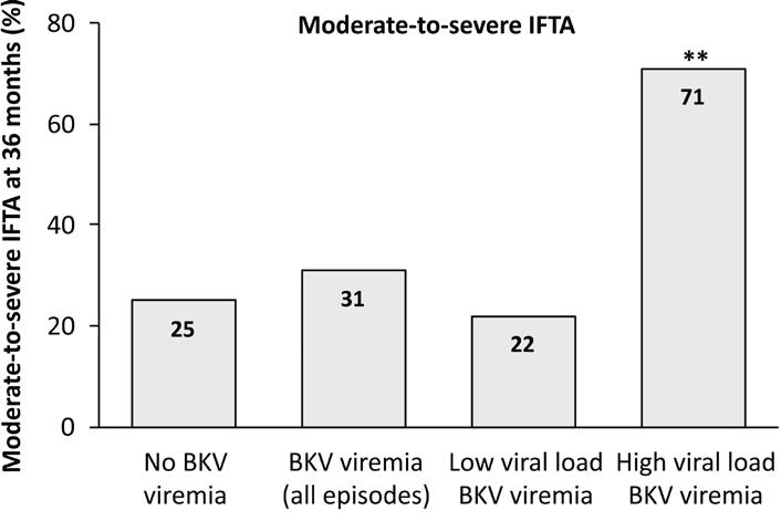 BK POLYOMAVIROVÁ VIRÉMIE S NÍZKOU VIROVOU NÁLOŽÍ NEVEDE K AKCELERACI FIBRÓZY RENÁLNÍHO ŠTĚPU: HISTOLOGICKÉ HODNOCENÍ POZDNÍCH PROTOKOLÁRNÍCH BIOPSIÍ Reischig T. 1,2, Kačer M. 1,2, Hes O.