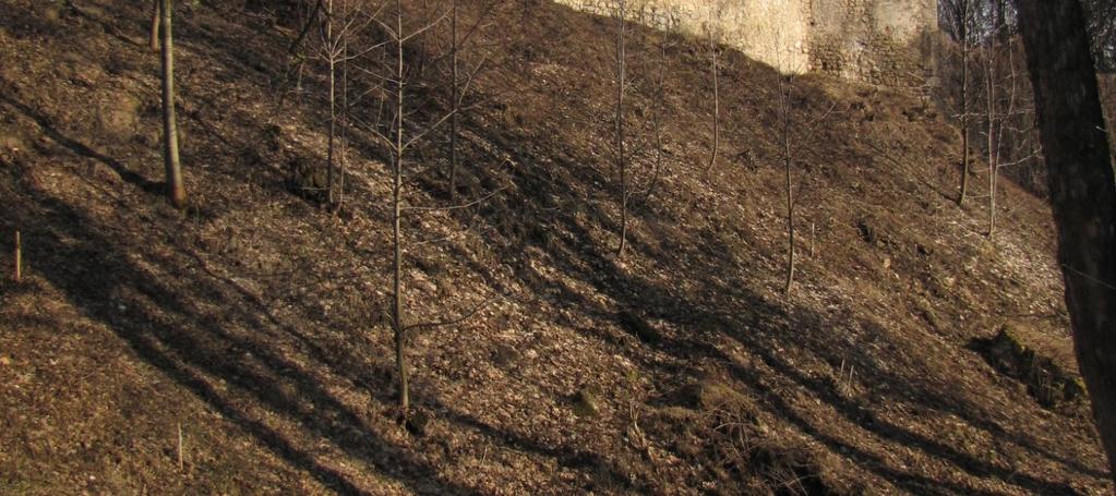 terénu vnitřních prostor objektu a