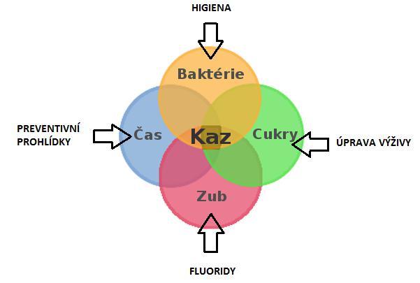 vytvoření správných hygienických a stravovacích návyků, denní aplikace fluoridů ve formě zubní pasty, lokální aplikace fluoridů na kariézní léze, pouţívání antimikrobiálních prostředků a