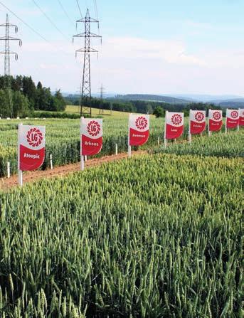 Pozvání na významné polní dny v roce 2018 Polní den společnos Limagrain Central Europe Cereals, s.r.o. Místo: Kaš eľ Mojmírovce a PD Mojmírovce, Mojmírovce, okr.