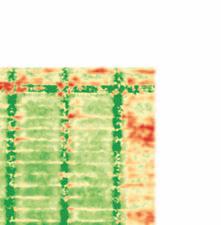 diferenční vegetační index). Biofyzikální interpretace NDVI je de facto poměr absorbovaného a odráženého fotosynteticky aktivního záření.