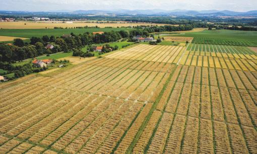 : +420 235 000 111 www.agro.basf.cz Používejte přípravky na ochranu rostlin bezpečně. Před použitím si vždy přečtěte označení a informace o přípravku.
