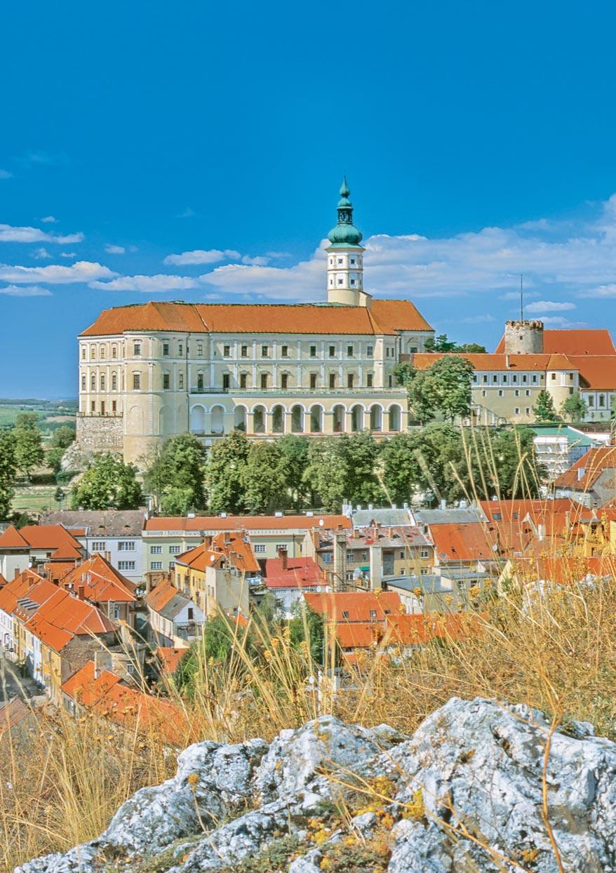 symptomatického nebo na kteroukoli pomocnou látku. Duální blokáda RAAS obsahuje valsartan, a proto nemá být podáván souèasnì s jiným pøípravkem obsahujícím ARB.