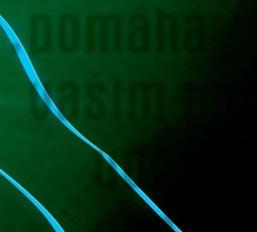 cz Hana Středová organizace kongresu Miroslava Kubátová organizace kongresu, výstava firem Veronika Grollová, Pavel Dubitzký registrace, ubytování VŠEOBECNÉ