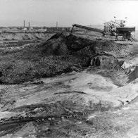 ideálním prostředím pro rákosníka nebo chřástala. Hnízdí zde také slavík modráček. Vloni jich bylo odchyceno celkem 13, z toho 5 již předtím zde okroužkovaných.