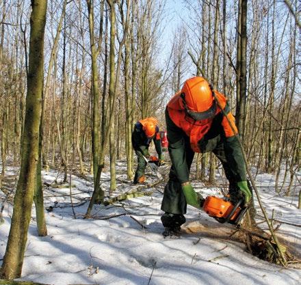 Zahájení rekultivačního roku na DNT vojenské služby. Od roku 1977, kdy jsem nastoupil na šachtu, usedám za volant vejtřasky. Ta současná je už pátý vůz této značky, se kterým jezdím.