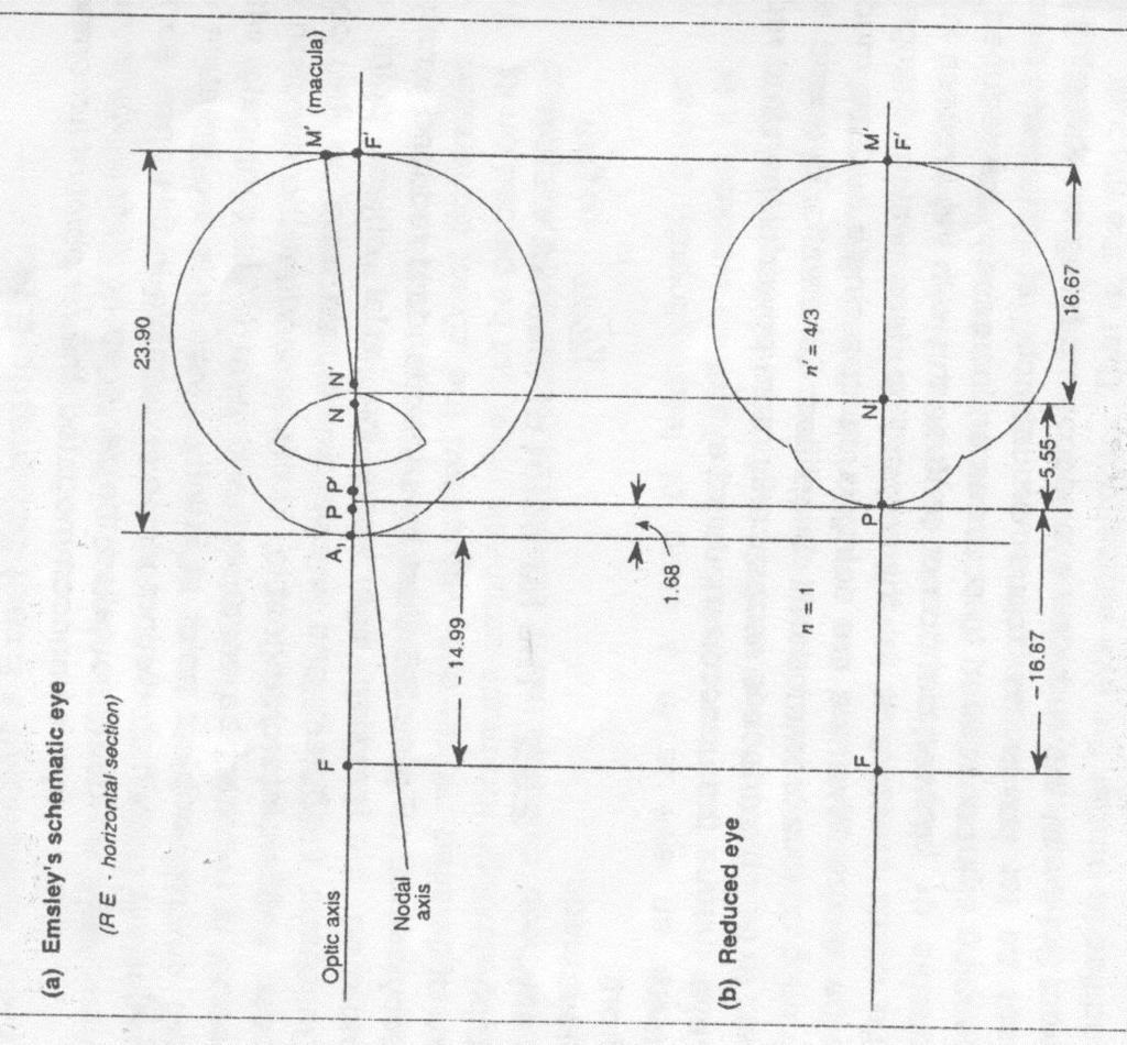 Emsleyovo (+60 D) schematické oko a redukované oko často používané zjednodušené schematické oko (H. H.