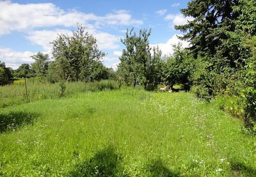 Na pozemku je dřevěná chatka je bývalé včelí úly, přípojka el. 220/380 V a studna.