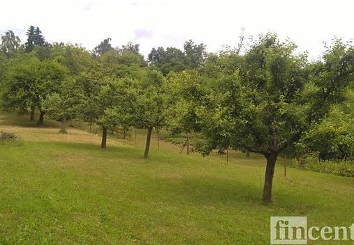svažitější více a ve spodní - kde stojí chata - opět svažitý mírně. To umožňuje rozčlenení zahrady na okrasnou a úžitkovou část. Chata o půdorysu 40 m2 vyžaduje celkovou rekonstrukci.